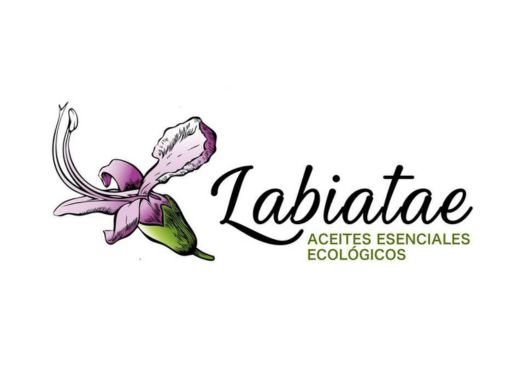Labiatae